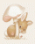 /album/houby/houby-021-gif/